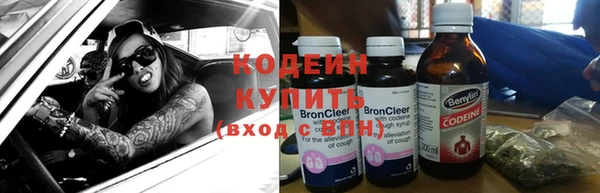 прущие грибы Бронницы