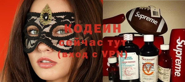 прущие грибы Бронницы