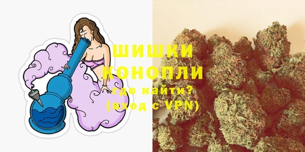 прущие грибы Бронницы