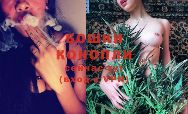 прущие грибы Бронницы