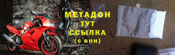 прущие грибы Бронницы