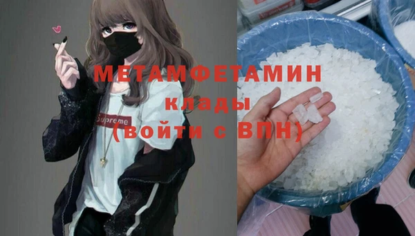 прущие грибы Бронницы