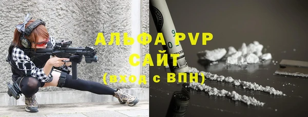 прущие грибы Бронницы